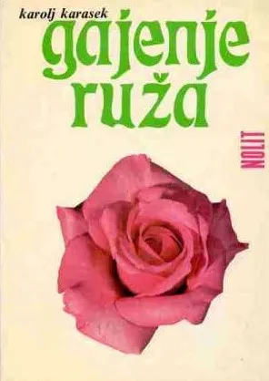 Gajenje ruža