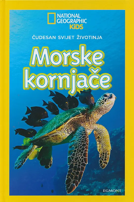 Morske kornjače