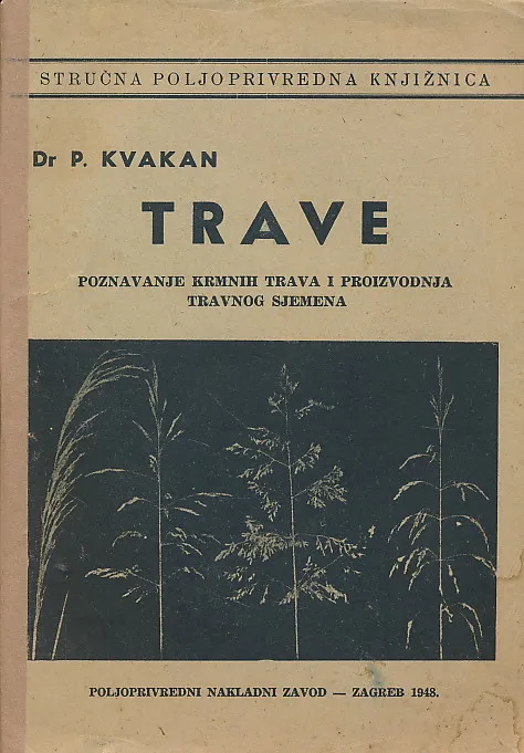 Trave