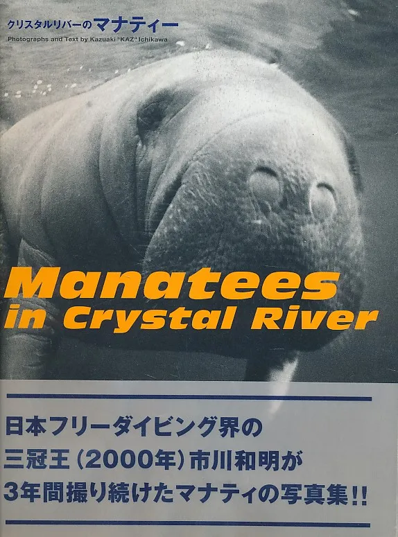 Manatees in Crystal River (Photography)