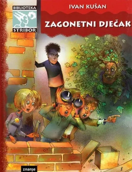 Zagonetni dječak