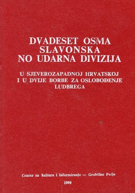 Dvadeset osma slavonska NO udarna divizija