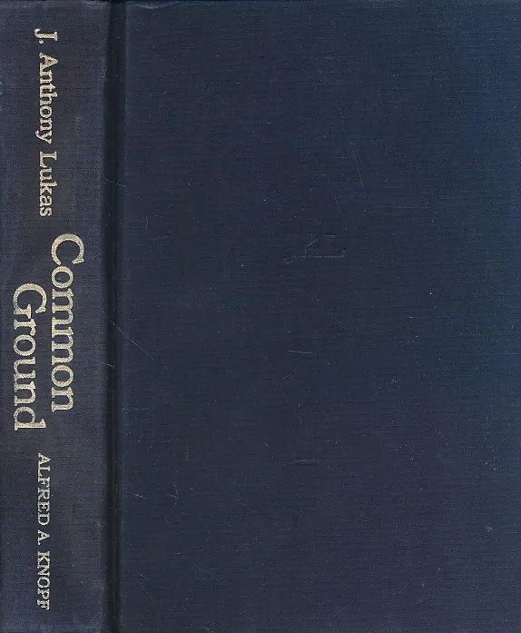 Common Ground: A Turbulent Decade in the Lives of Three American Families