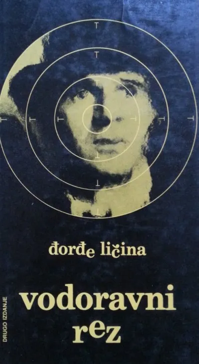 Vodoravni rez