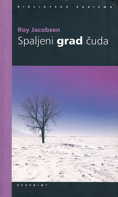 Spaljeni grad čuda