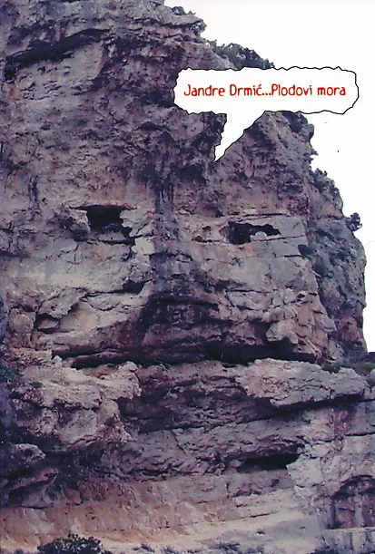 Plodovi mora