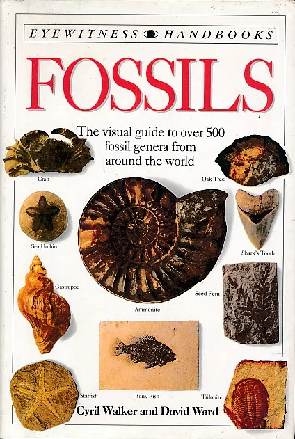 Fossils: the Visual Guide to over 500 Fossil Genera from Around the World
