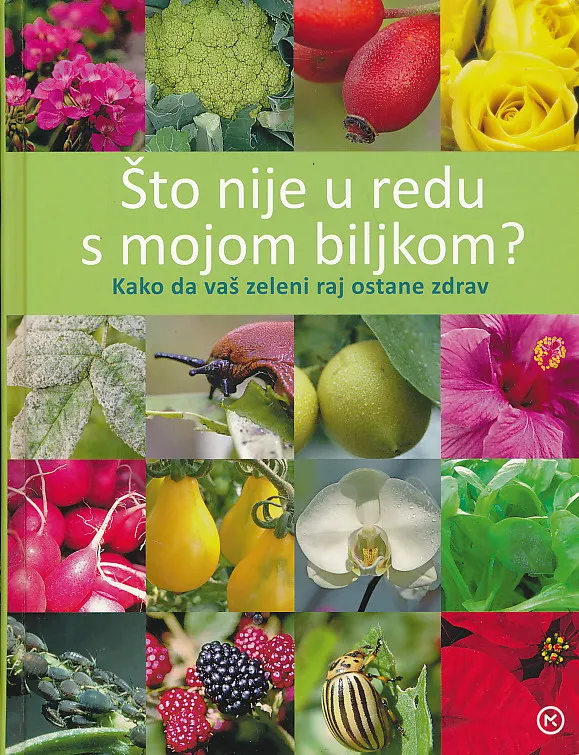 Što nije u redu s mojom biljkom?