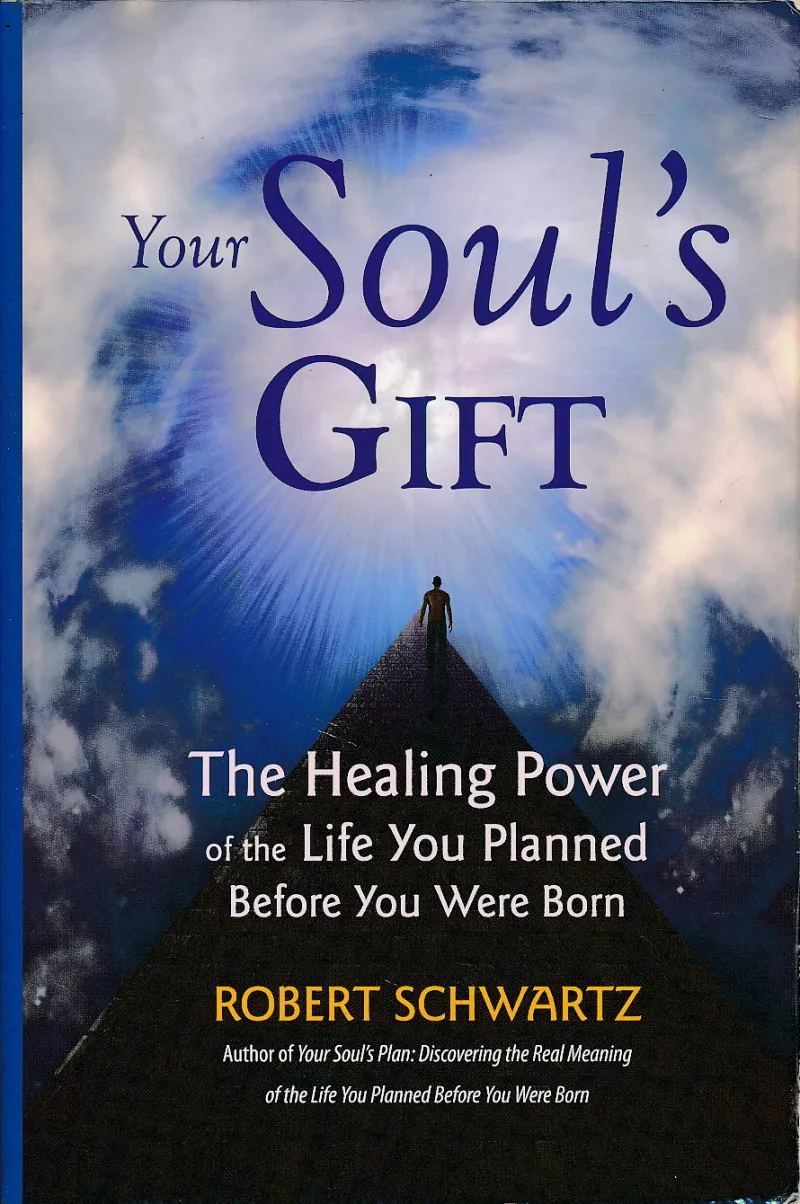 Your Souls Gift: The Healing Power of the Life You Planned Before You Were Born