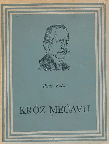 Kroz mećavu