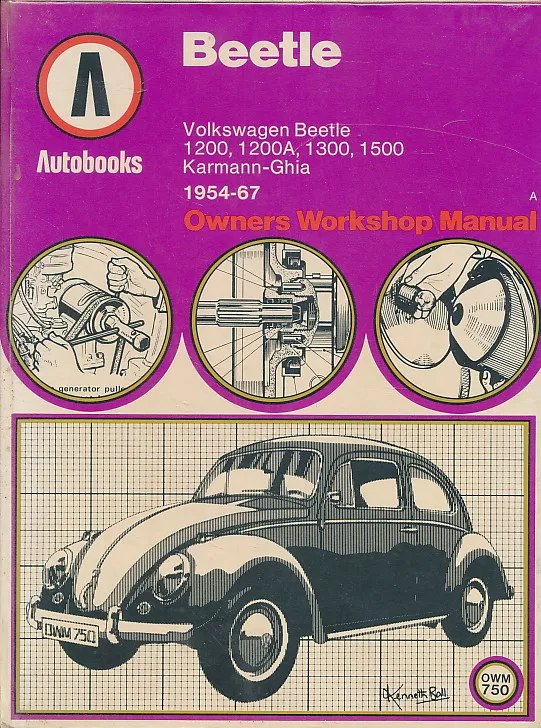 Beetle