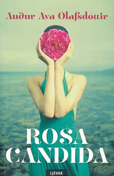 Rosa candida