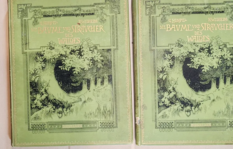 Die Bäume und Sträucher des Waldes in botanischer und forstwirthschaftlicher Beziehung I-II