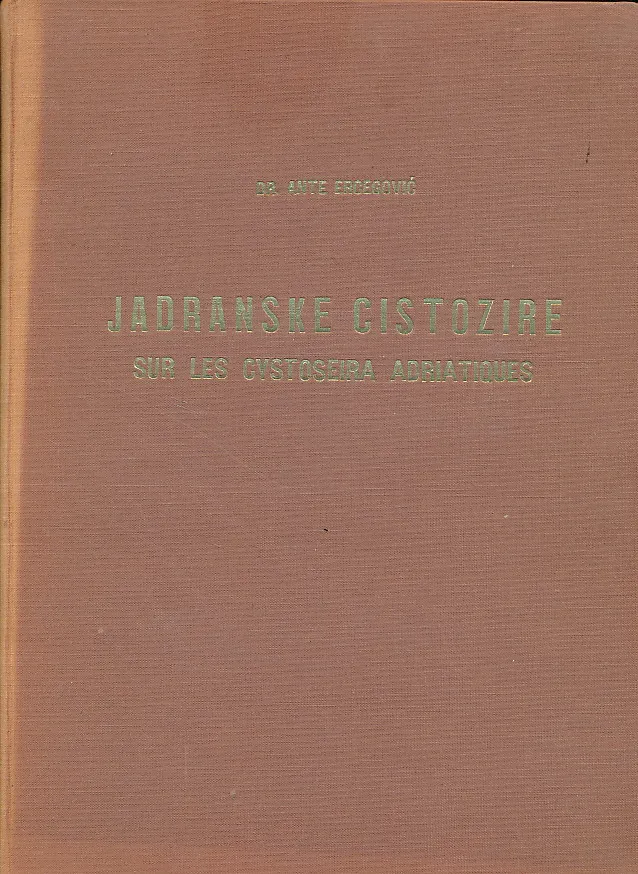 Jadranske cistozire II.