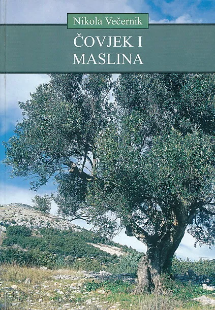 Čovjek i maslina