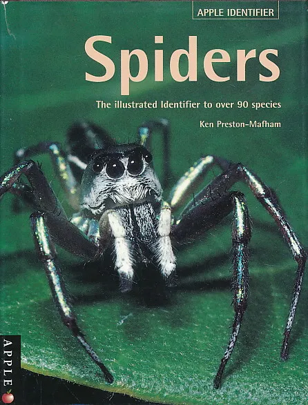 Spiders