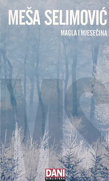 Magla i mjesečina