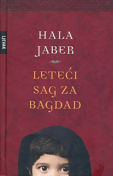 Leteći sag za Bagdad : borba jedne žene za dvoje siročadi rata