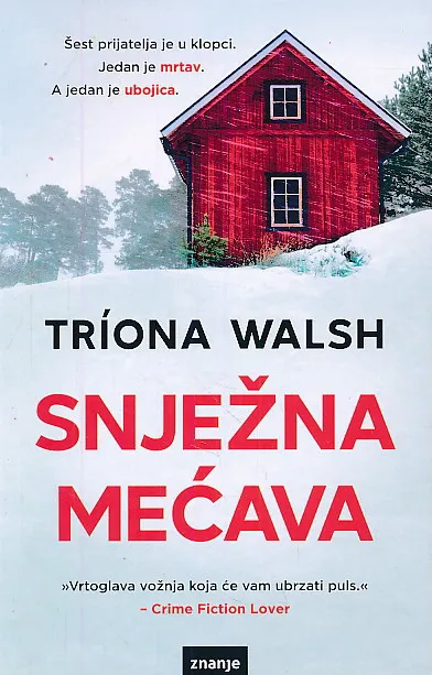Snježna mećava