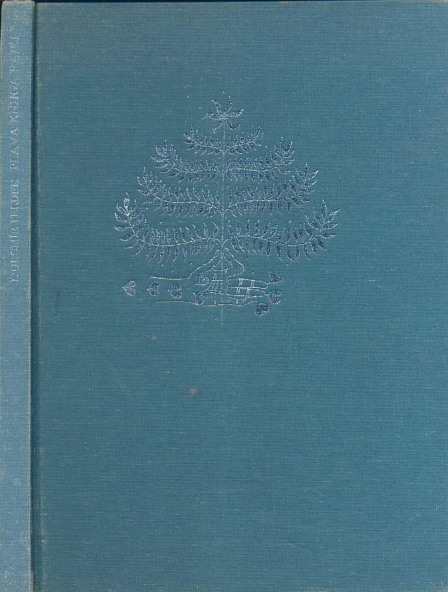 Plava knjiga bajki