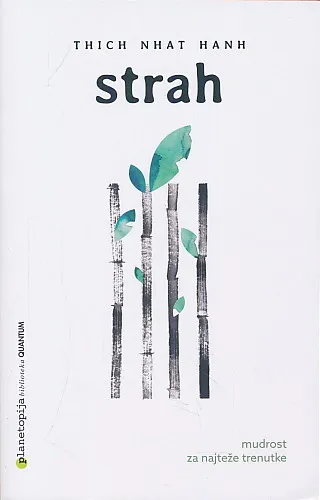 Strah : mudrost za najteže trenutke