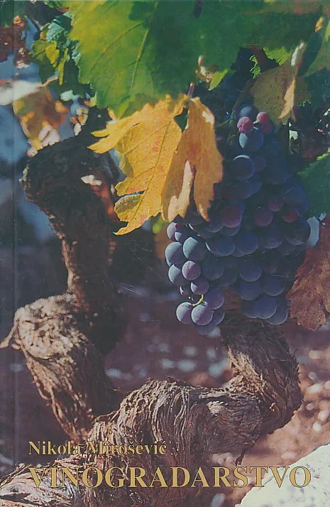 Vinogradarstvo