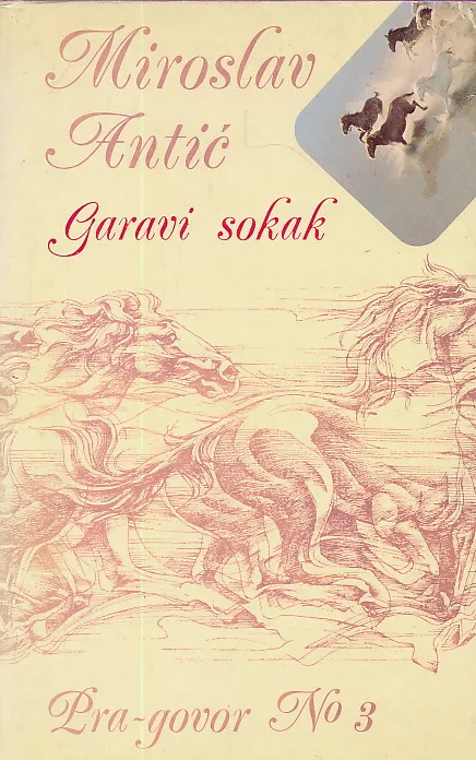 Garavi sokak