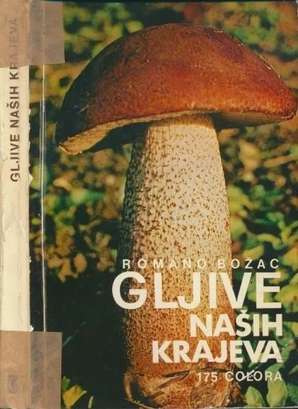 Gljive naših krajeva