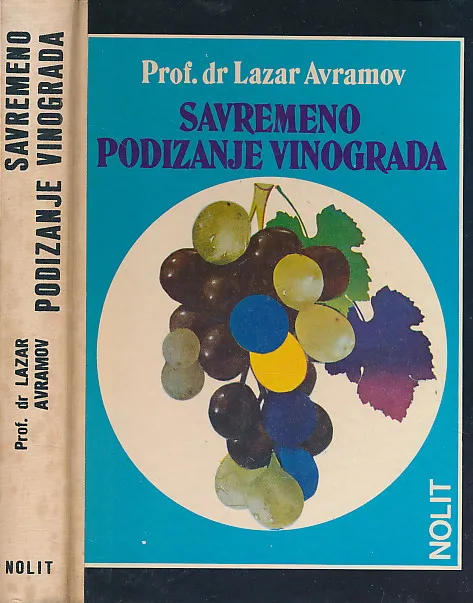Savremeno podizanje vinograda