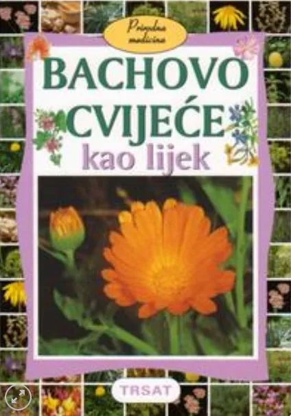Bachovo cvijeće kao lijek