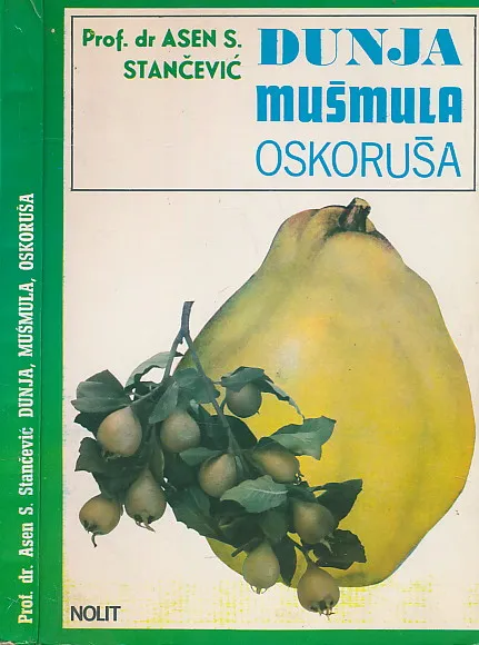 Dunja, mušmula, oskoruša