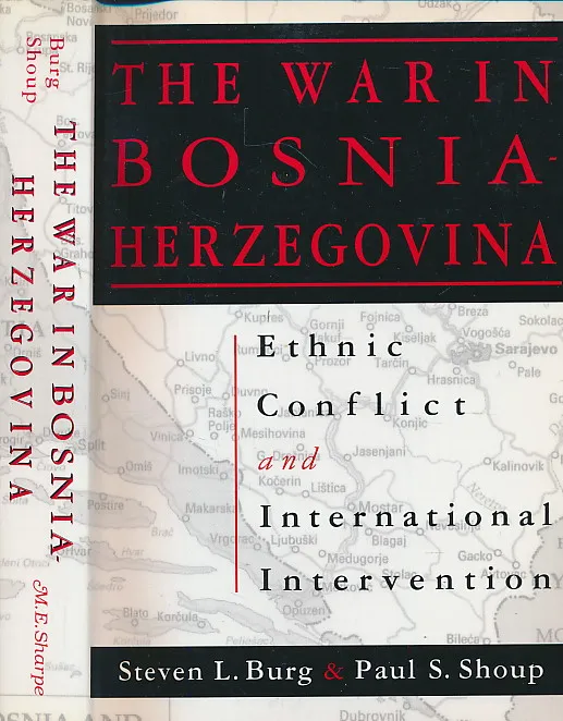 The War in Bosnia-Herzegovina: Ethnic Conflict and International Intervention