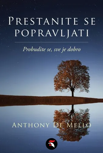 Prestanite se popravljati : probudite se, sve je dobro