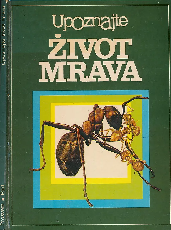 Upoznajte život mrava