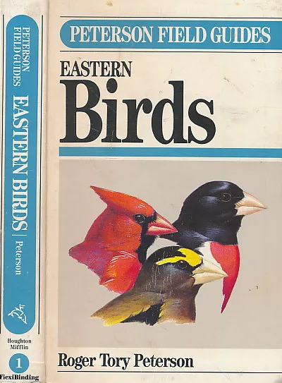 Eastern Birds