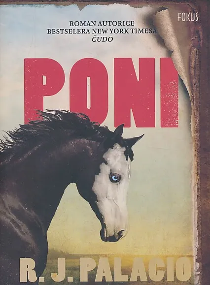Poni