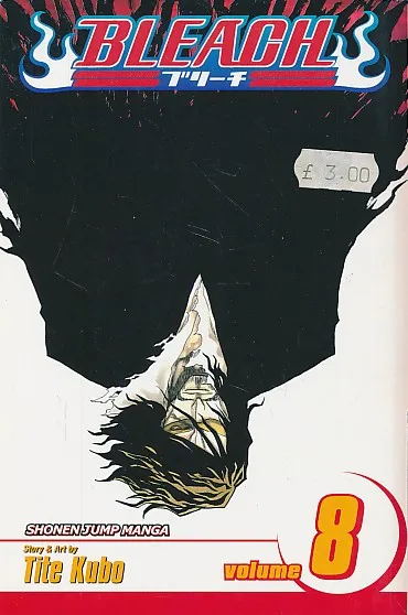 Bleach 8