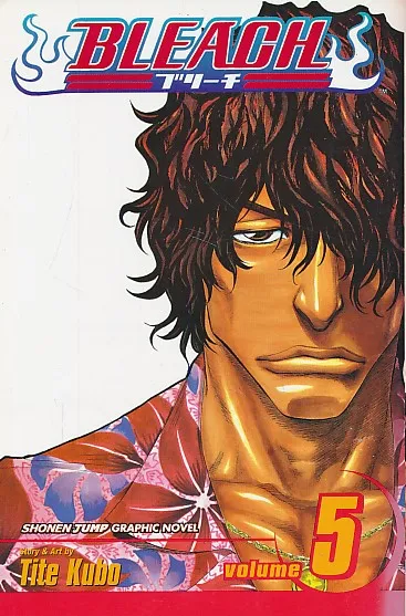 Bleach 5