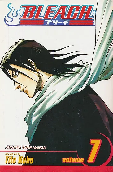 Bleach 7