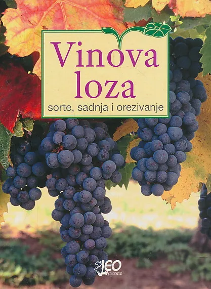 Vinova loza : sorte, sadnja i orezivanje