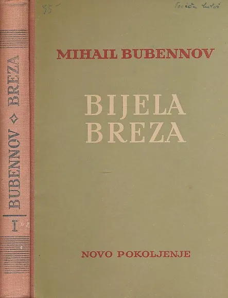Bijela breza