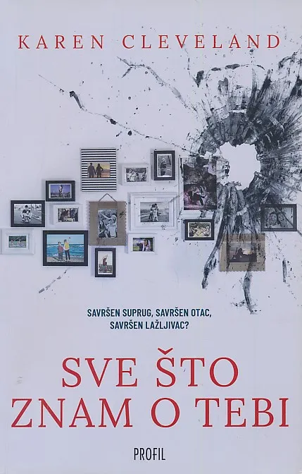 Sve što znam o tebi