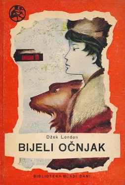 Bijeli očnjak