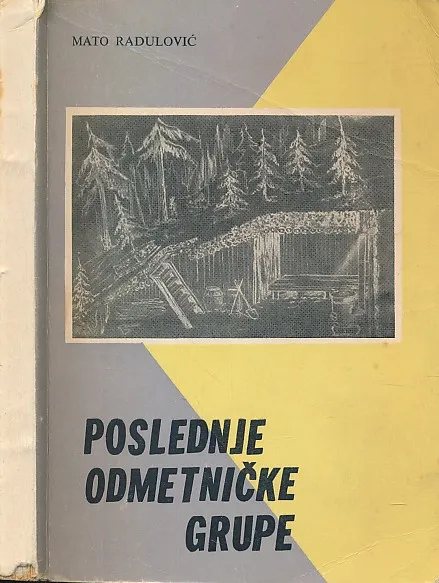 Poslednje odmetničke grupe