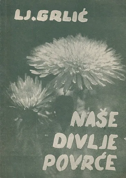 Naše divlje povrće