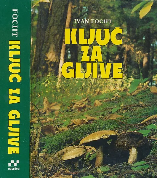Ključ za gljive