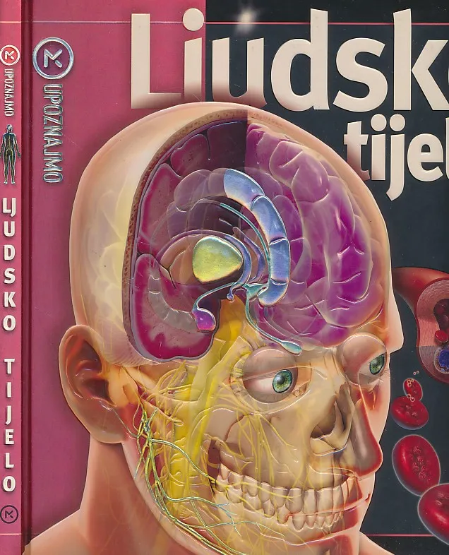 Ljudsko tijelo