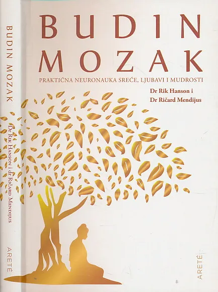 Budin mozak