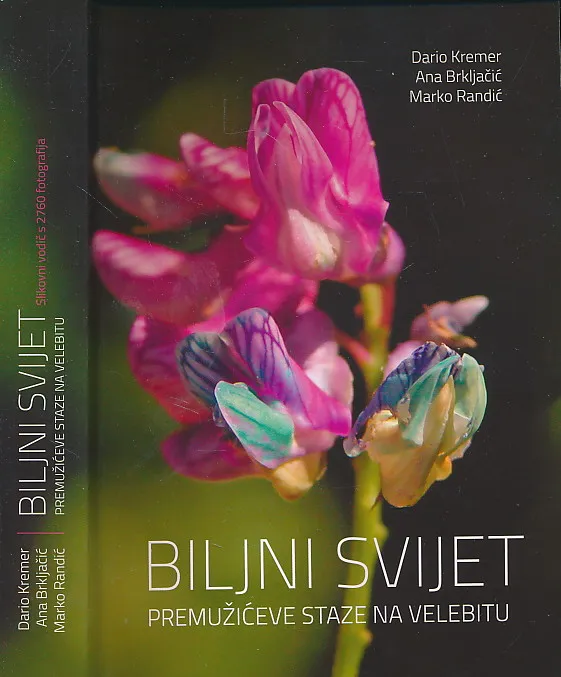 Biljni svijet Premužićeve staze na Velebitu
