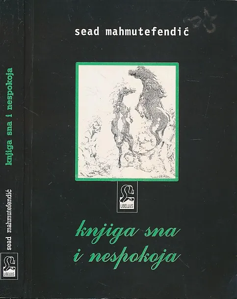Knjiga sna i nespokoja